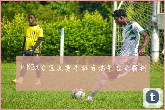 年NBA分区决赛手机直播平台全解析