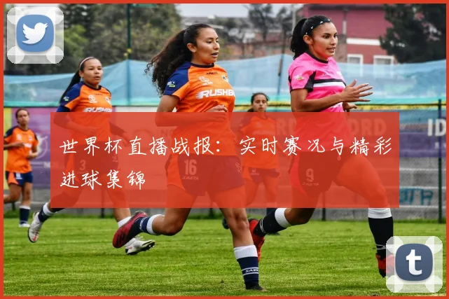 世界杯直播战报：实时赛况与精彩进球集锦